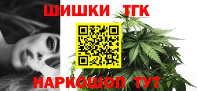 тгк Новодвинск