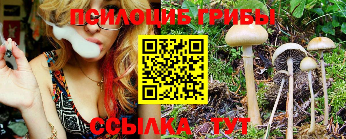 Новозыбков  Галлюциногенные грибы прущие грибы  Вход с VPN 