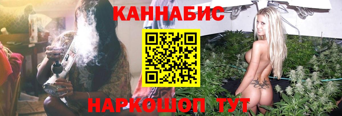 Канабис семена Новозыбков